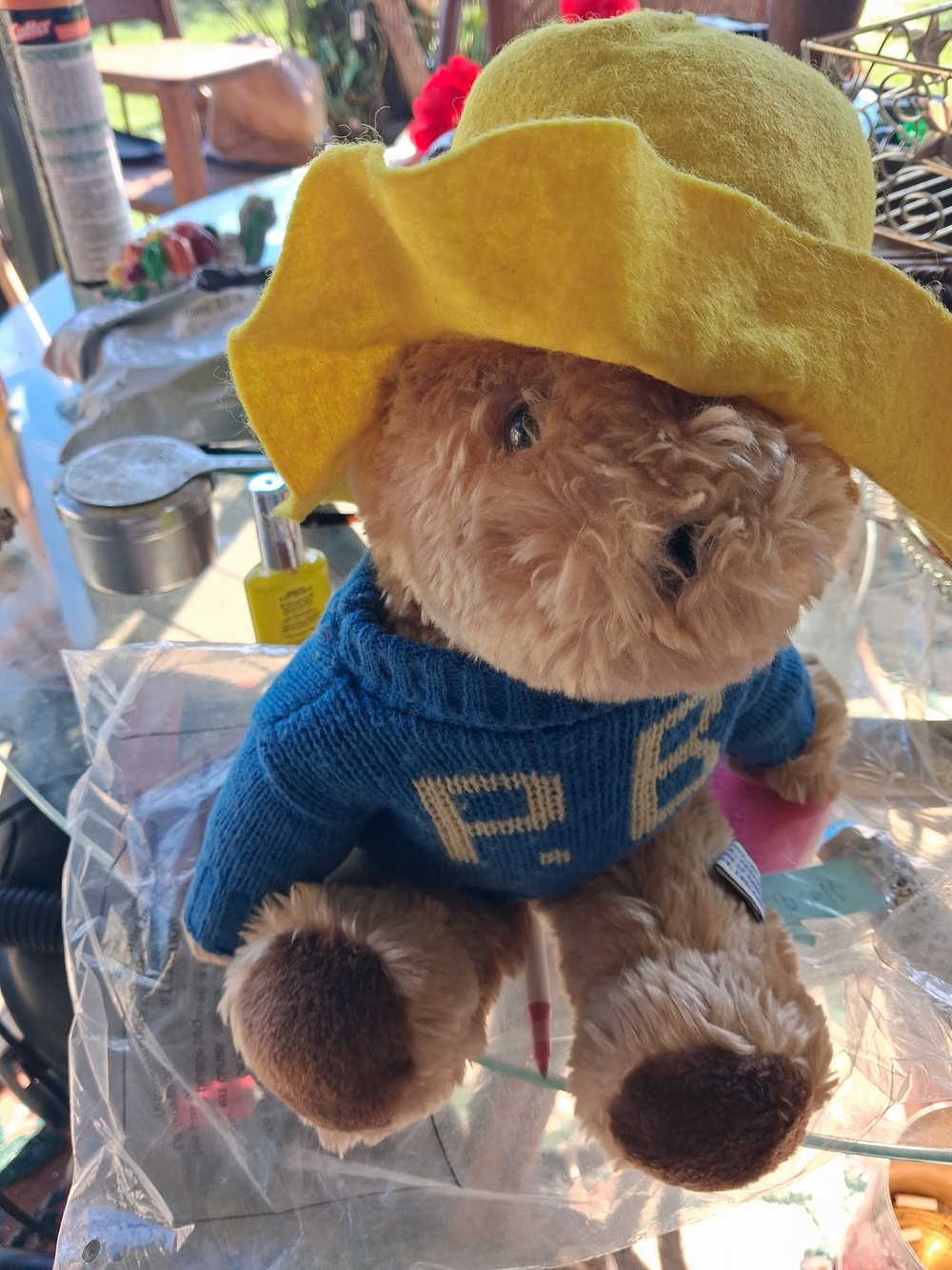 Collectors Bear, Meet Padington
